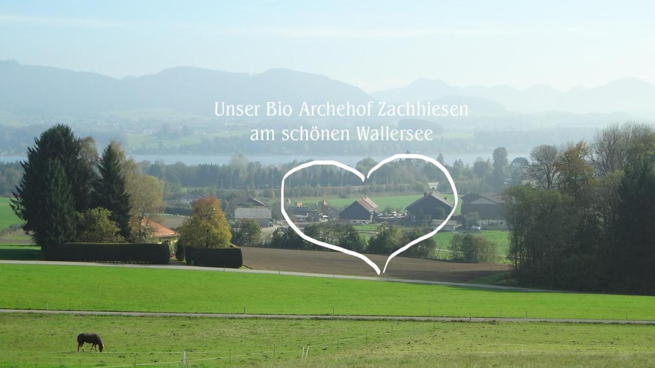 Bio Archehof Zachhiesen Apartment Seekirchen am Wallersee Exterior photo