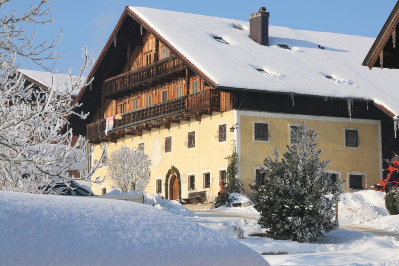 Bio Archehof Zachhiesen Apartment Seekirchen am Wallersee Exterior photo